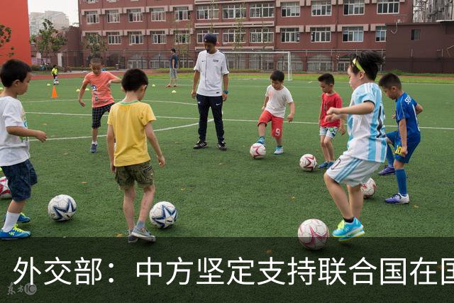 外交部：中方坚定支持联合国在国际事务中发挥核心作用