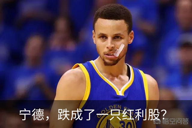 宁德，跌成了一只红利股？