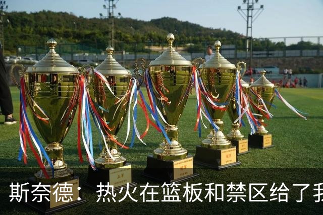 斯奈德：热火在篮板和禁区给了我们很大压力 球队得更快地转移球