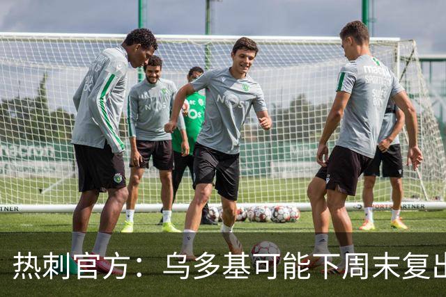 热刺官方：乌多基可能下周末复出，麦迪逊可战切尔西