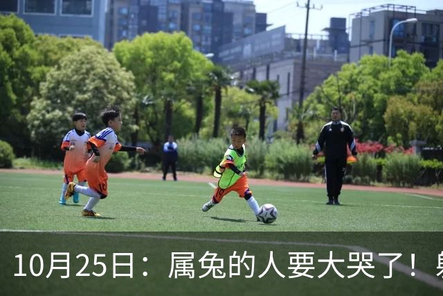 10月25日：属兔的人要大哭了！躲不掉！这都是老天爷的安排！