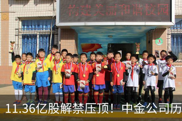 11.36亿股解禁压顶！中金公司历史上第5次跌停，股民：已经跌破924以来的底了